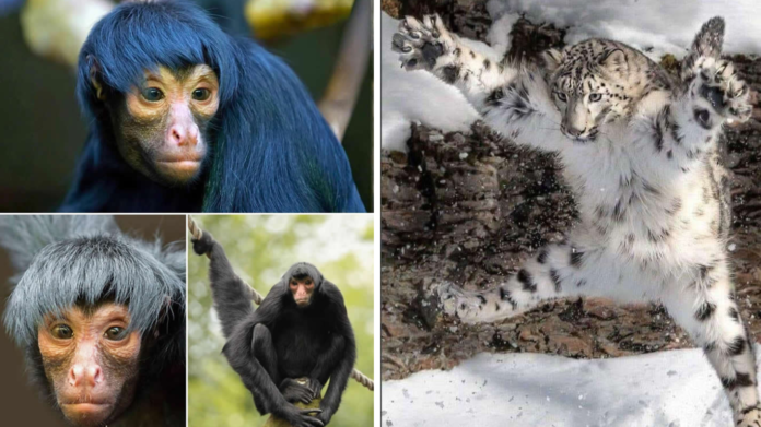 30 Breathtaking Wonders That Capture the Pure Magic of Nature